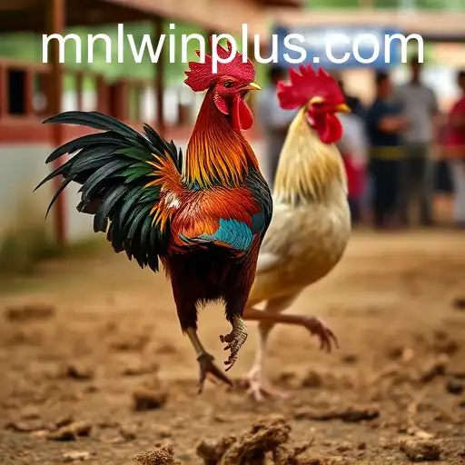 Exploring the World of Sabong Games on MNL WIN